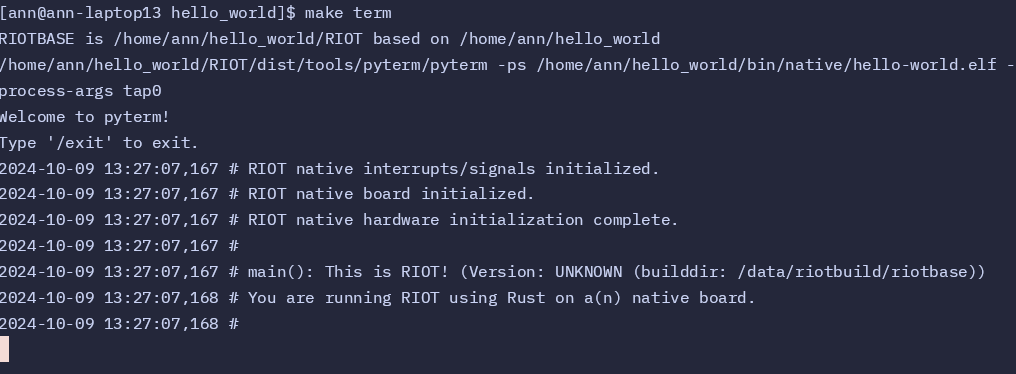 The Output in the Terminal