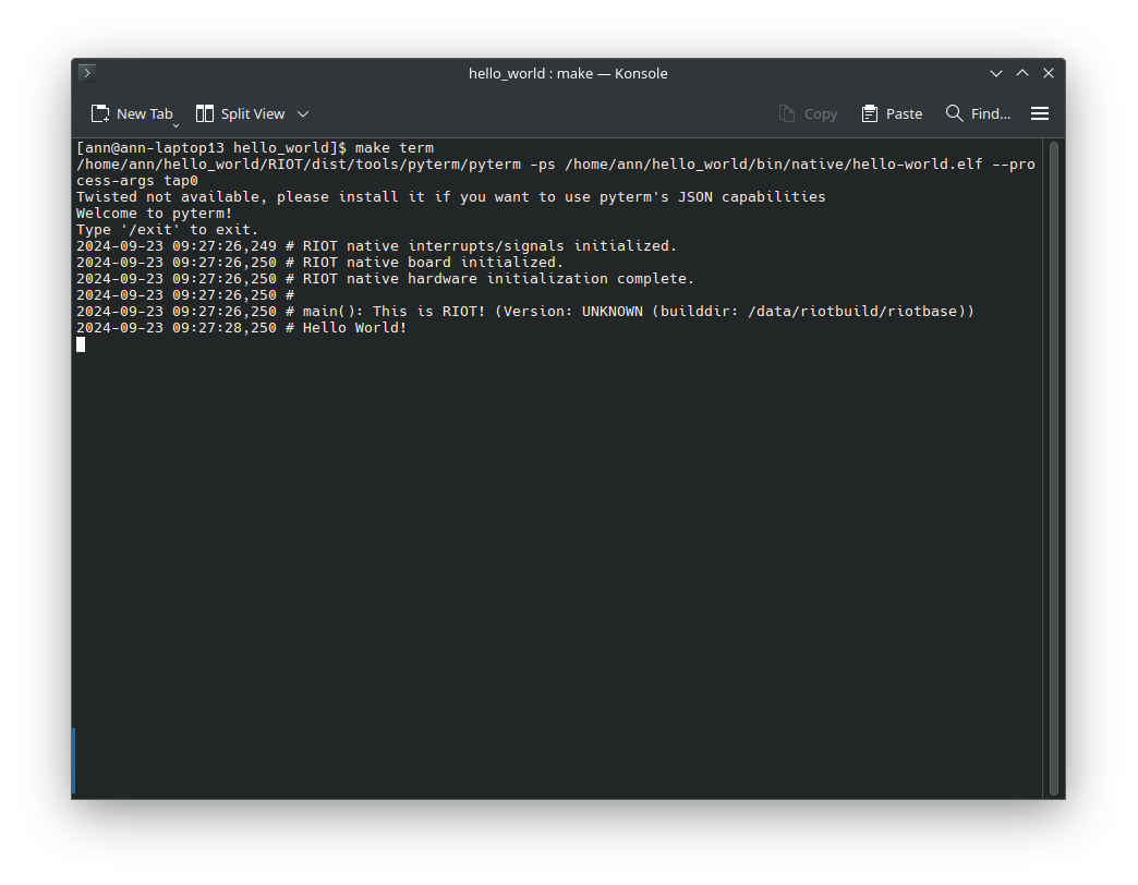 The hello world program running in the RIOT shell
